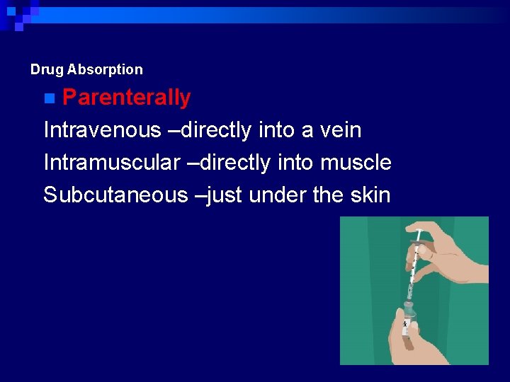 Drug Absorption Parenterally Intravenous –directly into a vein Intramuscular –directly into muscle Subcutaneous –just