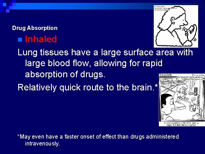 Drug Absorption Inhaled Lung tissues have a large surface area with large blood flow,