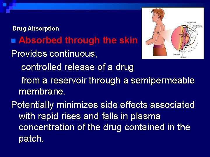 Drug Absorption Absorbed through the skin Provides continuous, controlled release of a drug from