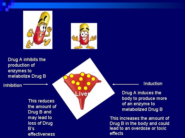 Drug A inhibits the production of enzymes to metabolize Drug B Induction Inhibition Liver