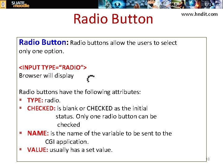 Radio Button www. hndit. com Radio Button: Radio buttons allow the users to select