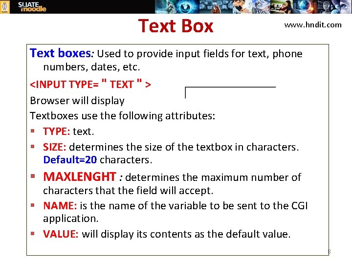 Text Box www. hndit. com Text boxes: Used to provide input fields for text,