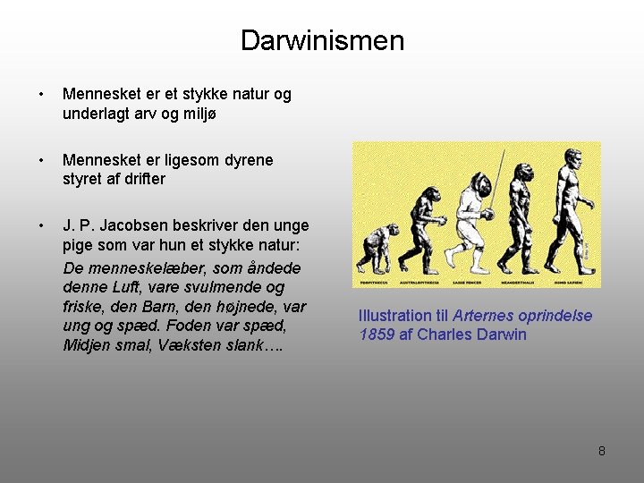 Darwinismen • Mennesket er et stykke natur og underlagt arv og miljø • Mennesket