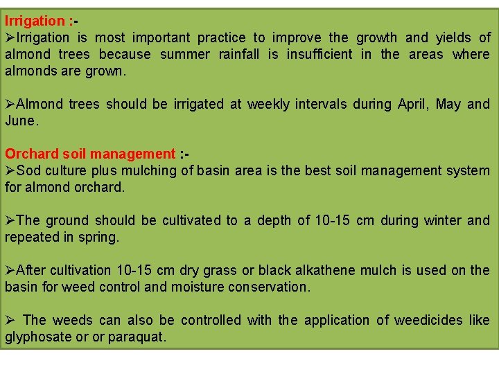 Irrigation : ØIrrigation is most important practice to improve the growth and yields of