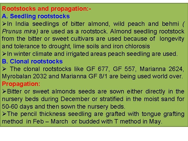 Rootstocks and propagation: A. Seedling rootstocks ØIn India seedlings of bitter almond, wild peach