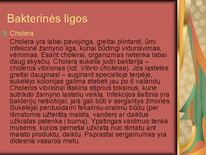 Bakterinės ligos Cholera yra labai pavojinga, greitai plintanti, ūmi infekcinė žarnyno liga, kuriai būdingi