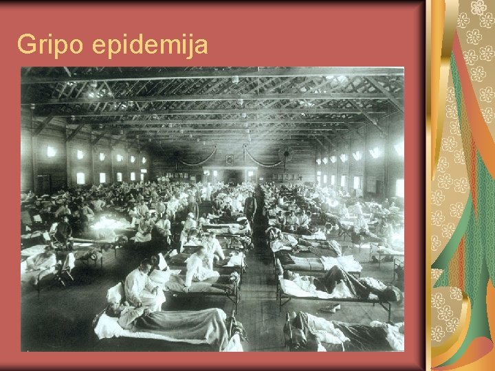 Gripo epidemija 