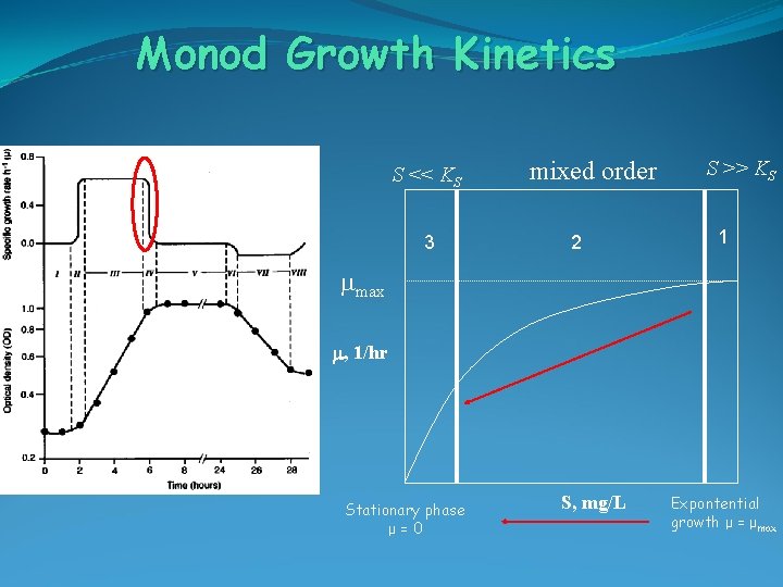 Monod Growth Kinetics S << KS 3 mixed order 2 S >> KS 1