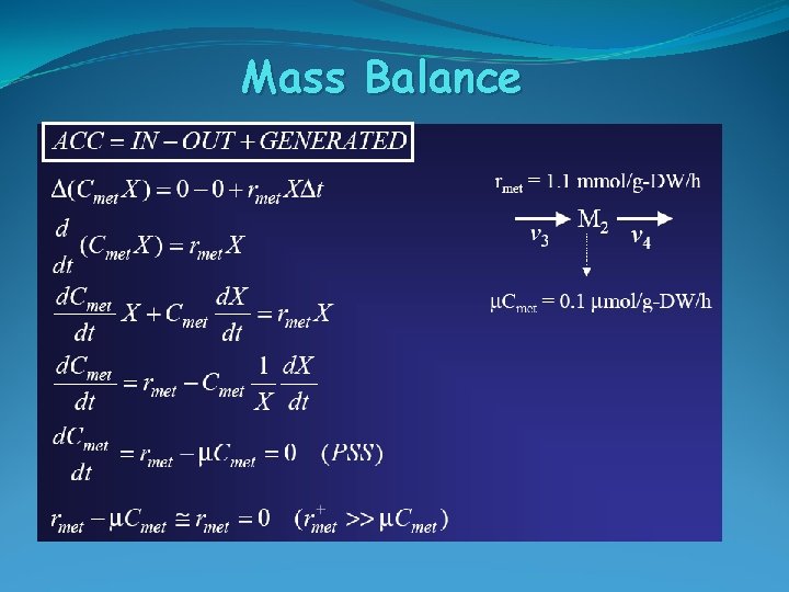 Mass Balance 