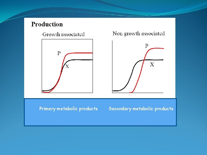 Primary metabolic products Secondary metabolic products 