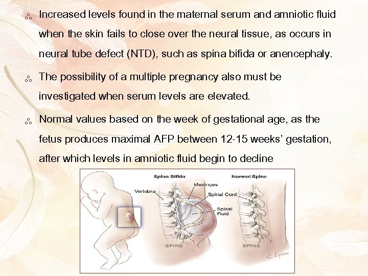 ༜ Increased levels found in the maternal serum and amniotic fluid when the skin