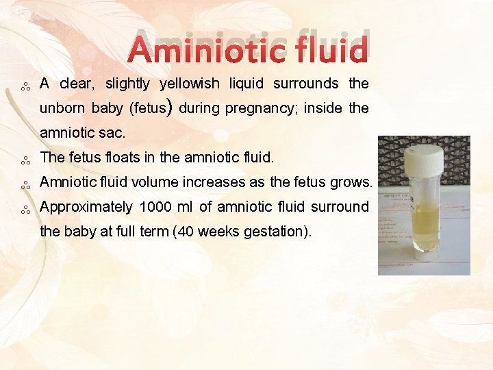 Aminiotic fluid ༜ ༜ A clear, slightly yellowish liquid surrounds the unborn baby (fetus)