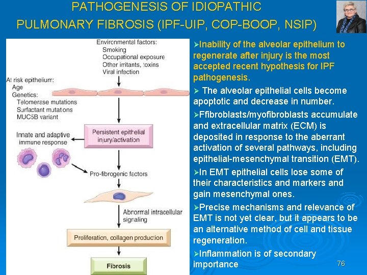 PATHOGENESIS OF IDIOPATHIC PULMONARY FIBROSIS (IPF UIP, COP BOOP, NSIP) ØInability of the alveolar