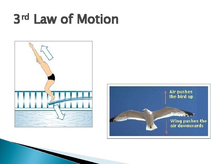 3 rd Law of Motion 