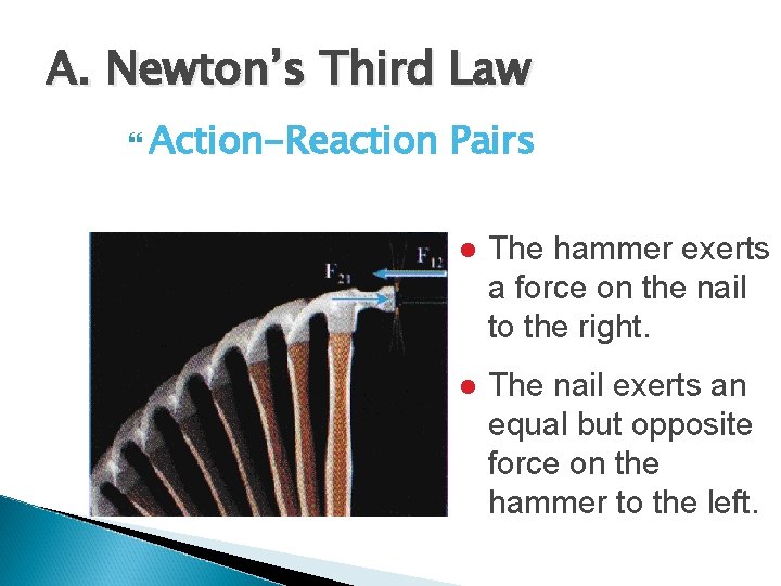 A. Newton’s Third Law Action-Reaction Pairs l The hammer exerts a force on the