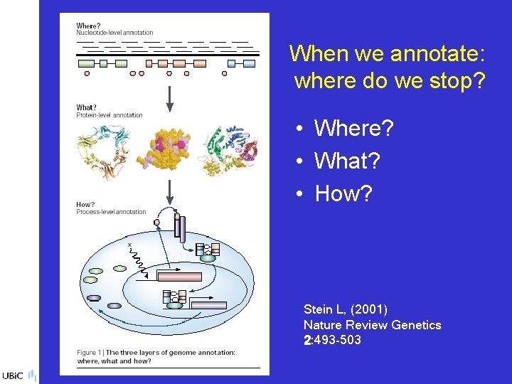 When we annotate: where do we stop? • Where? • What? • How? Stein