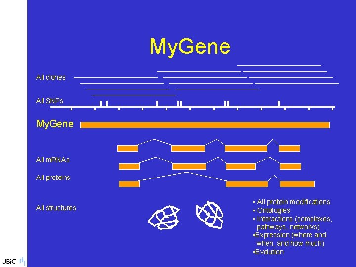 My. Gene All clones All SNPs My. Gene All m. RNAs All proteins All