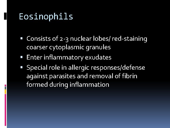 Eosinophils Consists of 2 -3 nuclear lobes/ red-staining coarser cytoplasmic granules Enter inflammatory exudates