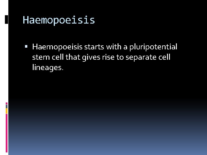 Haemopoeisis starts with a pluripotential stem cell that gives rise to separate cell lineages.