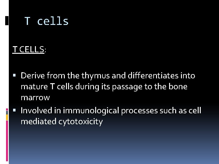 T cells T CELLS: Derive from the thymus and differentiates into mature T cells