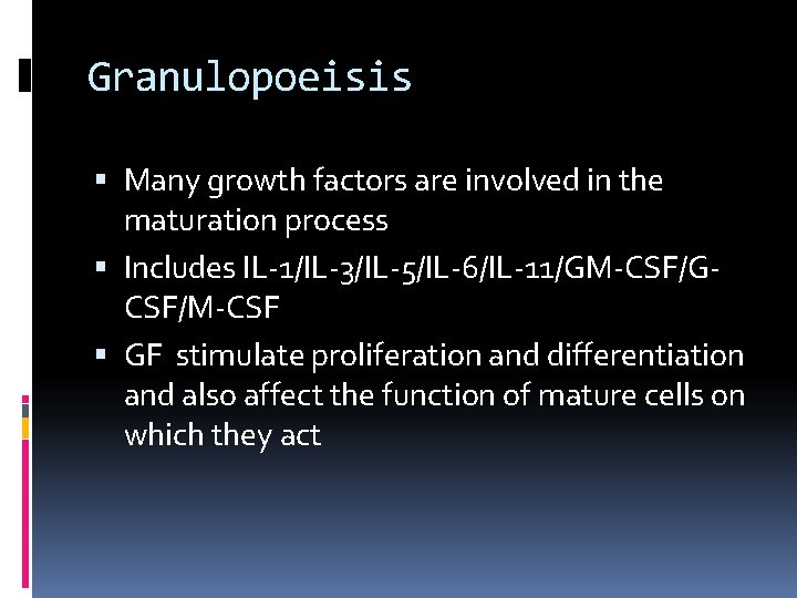 Granulopoeisis Many growth factors are involved in the maturation process Includes IL-1/IL-3/IL-5/IL-6/IL-11/GM-CSF/GCSF/M-CSF GF stimulate