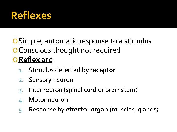 Reflexes Simple, automatic response to a stimulus Conscious thought not required Reflex arc: 1.