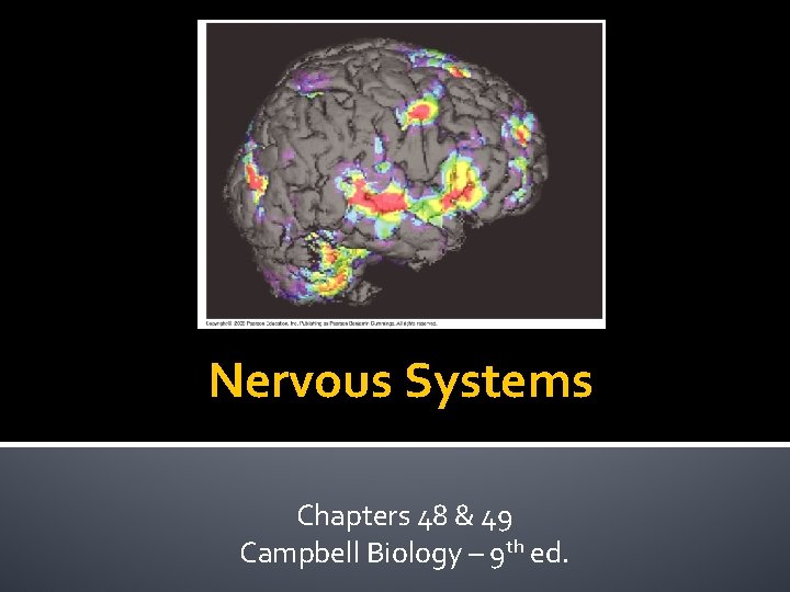 Nervous Systems Chapters 48 & 49 Campbell Biology – 9 th ed. 