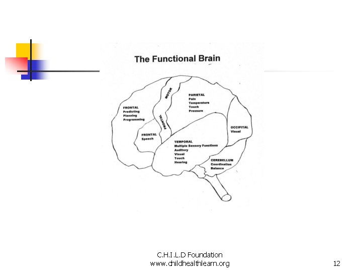 C. H. I. L. D Foundation www. childhealthlearn. org 12 