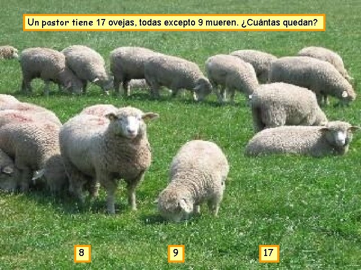 Un pastor tiene 17 ovejas, todas excepto 9 mueren. ¿Cuántas quedan? 8 9 17