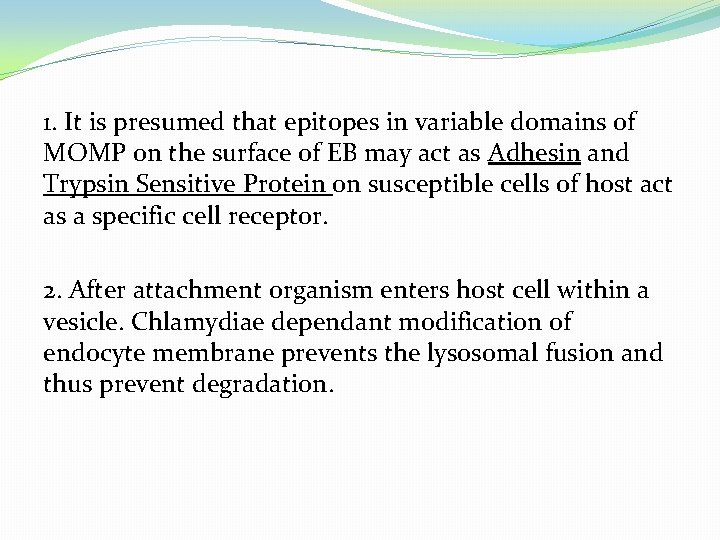 1. It is presumed that epitopes in variable domains of MOMP on the surface