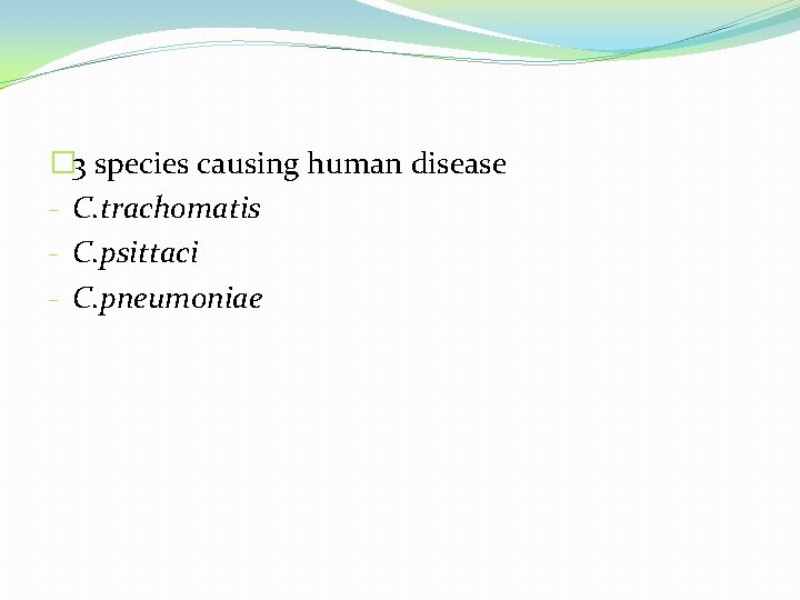 � 3 species causing human disease - C. trachomatis - C. psittaci - C.