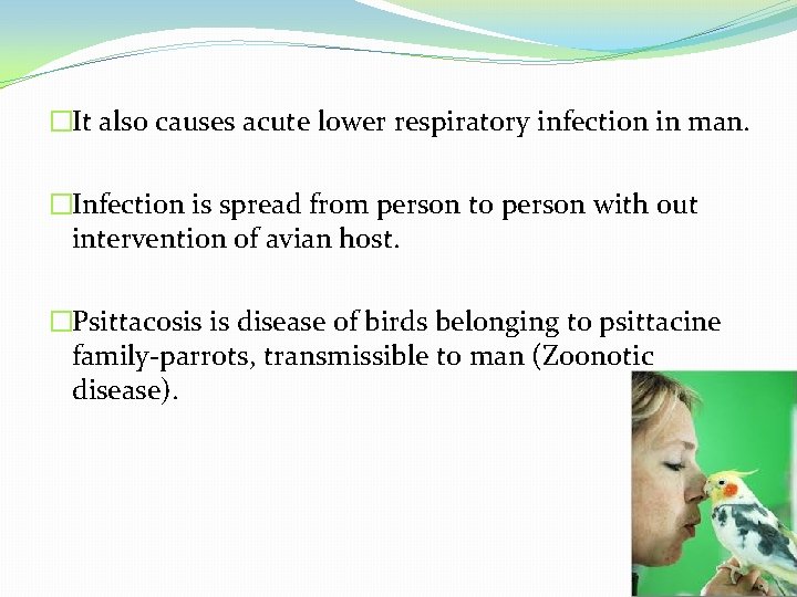 �It also causes acute lower respiratory infection in man. �Infection is spread from person