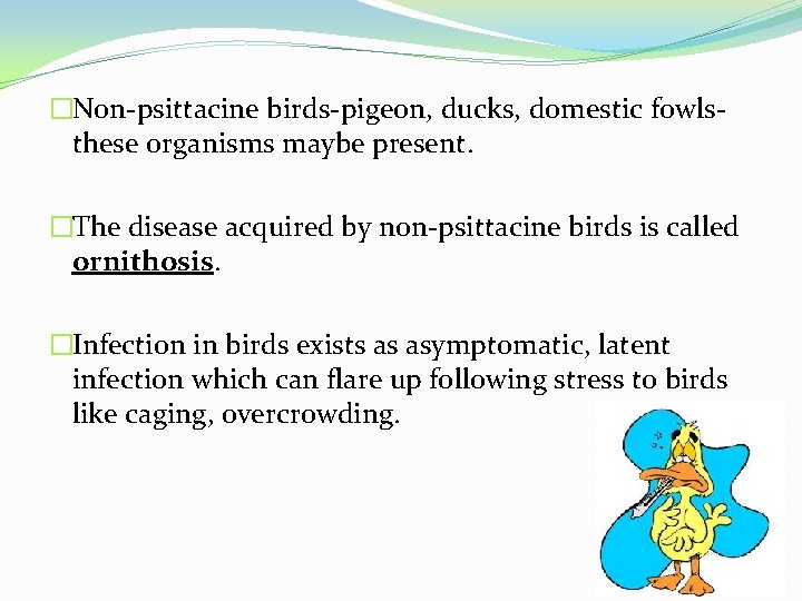�Non-psittacine birds-pigeon, ducks, domestic fowlsthese organisms maybe present. �The disease acquired by non-psittacine birds