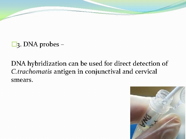 � 3. DNA probes – DNA hybridization can be used for direct detection of