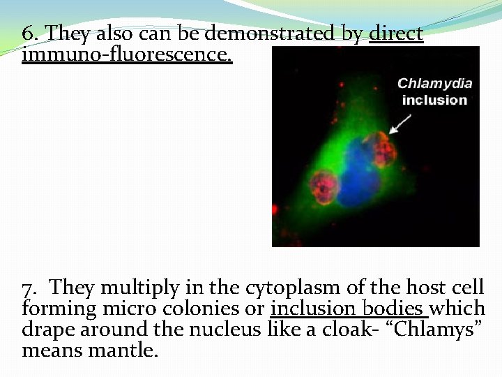 6. They also can be demonstrated by direct immuno-fluorescence. 7. They multiply in the