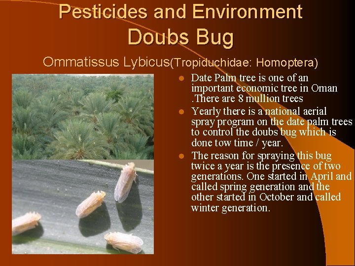 Pesticides and Environment Doubs Bug Ommatissus Lybicus(Tropiduchidae: Homoptera) Date Palm tree is one of