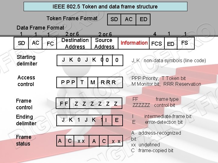 IEEE 802. 5 Token and data frame structure Token Frame Format Data Frame Format