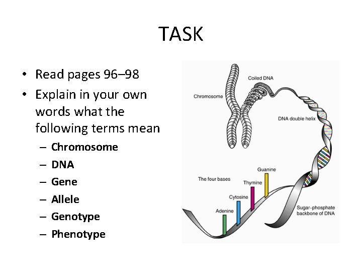 TASK • Read pages 96– 98 • Explain in your own words what the