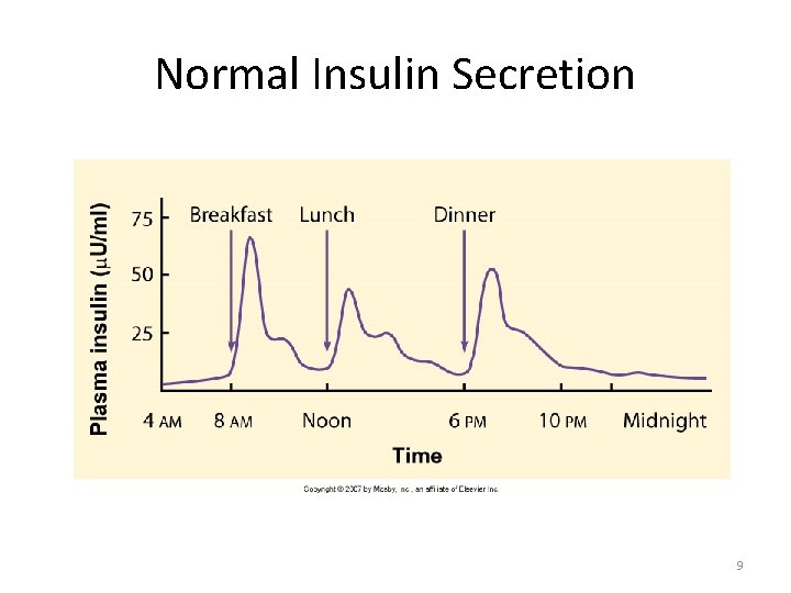 Normal Insulin Secretion 9 