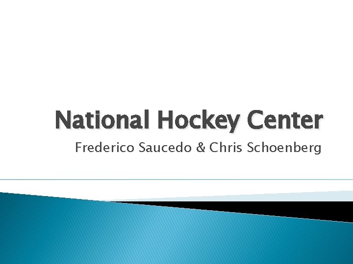 National Hockey Center Frederico Saucedo & Chris Schoenberg 