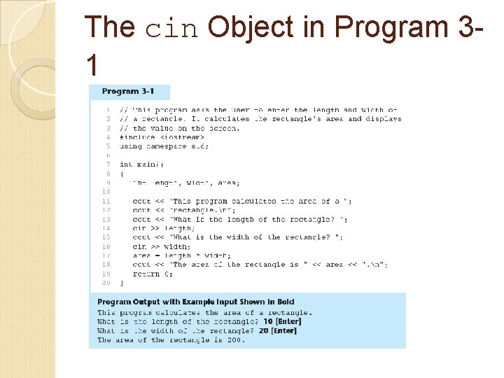The cin Object in Program 31 