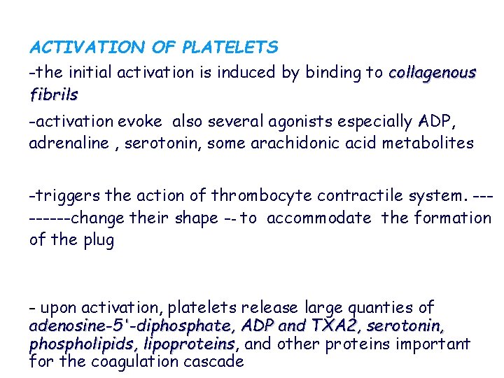 ACTIVATION OF PLATELETS -the initial activation is induced by binding to collagenous fibrils -activation