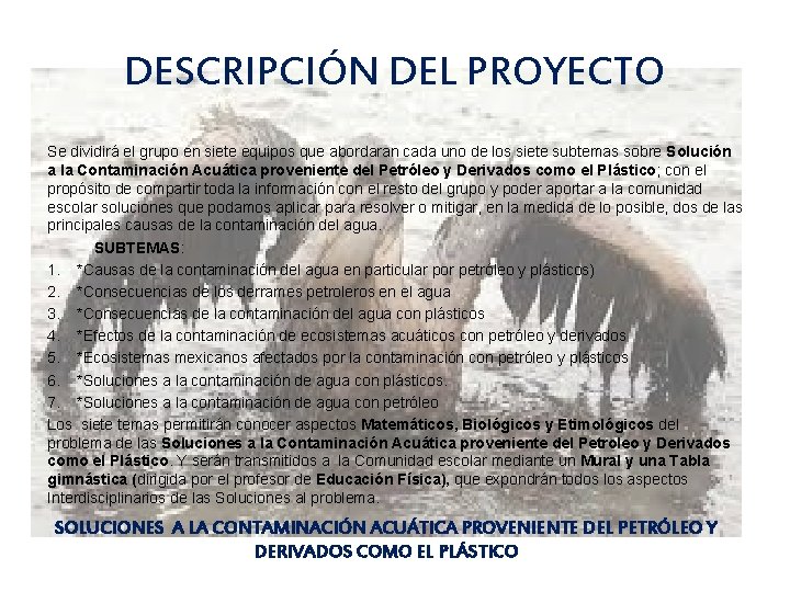 DESCRIPCIÓN DEL PROYECTO Se dividirá el grupo en siete equipos que abordaran cada uno