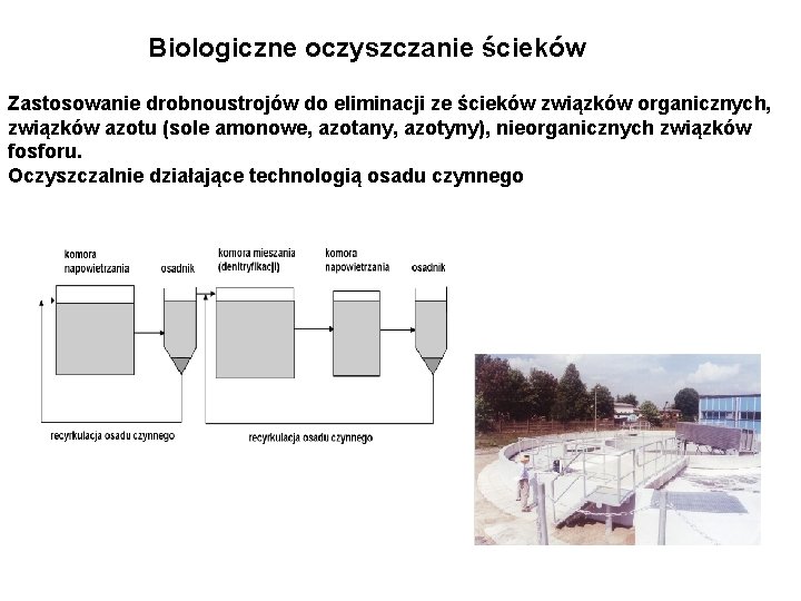 Biologiczne oczyszczanie ścieków Zastosowanie drobnoustrojów do eliminacji ze ścieków związków organicznych, związków azotu (sole