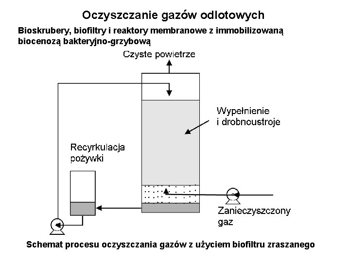 Oczyszczanie gazów odlotowych Bioskrubery, biofiltry i reaktory membranowe z immobilizowaną biocenozą bakteryjno-grzybową Schemat procesu