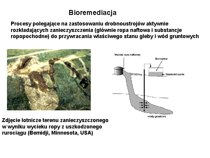 Bioremediacja Procesy polegające na zastosowaniu drobnoustrojów aktywnie rozkładających zanieczyszczenia (głównie ropa naftowa i substancje