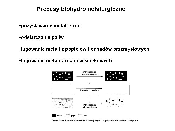 Procesy biohydrometalurgiczne • pozyskiwanie metali z rud • odsiarczanie paliw • ługowanie metali z