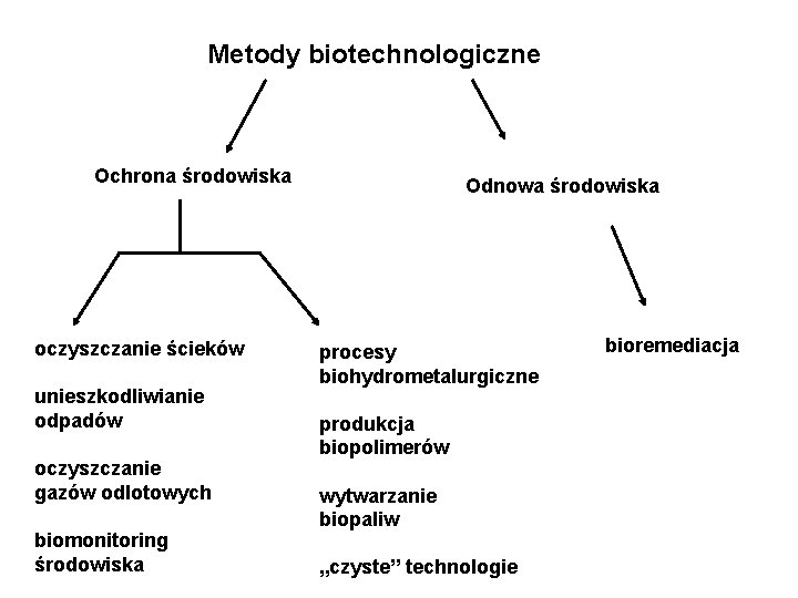 Metody biotechnologiczne Ochrona środowiska oczyszczanie ścieków unieszkodliwianie odpadów oczyszczanie gazów odlotowych biomonitoring środowiska Odnowa