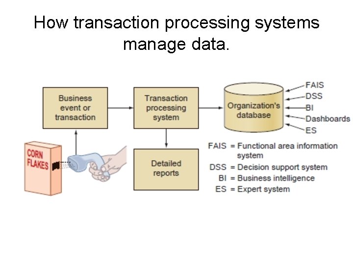 How transaction processing systems manage data. 