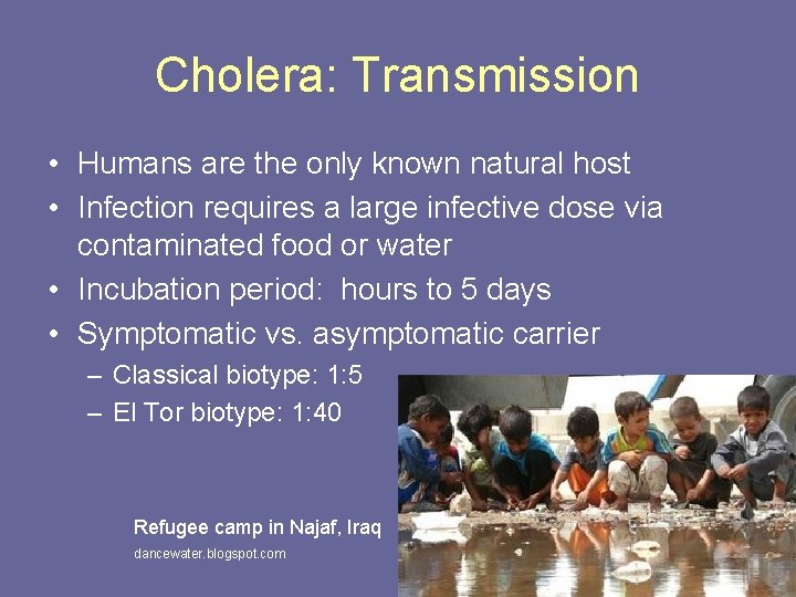 Cholera: Transmission • Humans are the only known natural host • Infection requires a